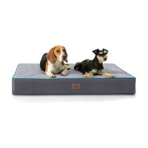 Orthopedic Dog Bed